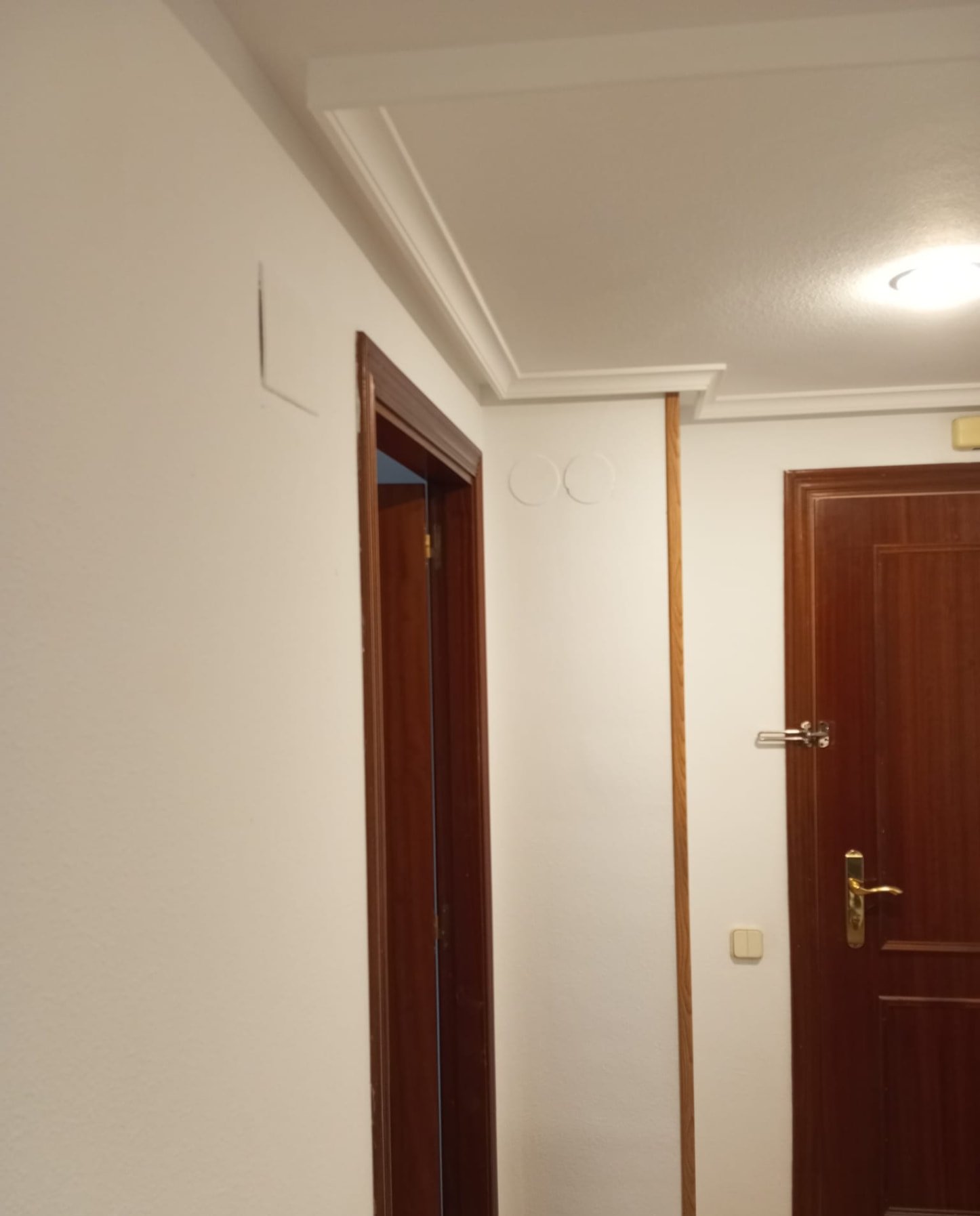 Recibidor con moldura de techo y puerta de entrada