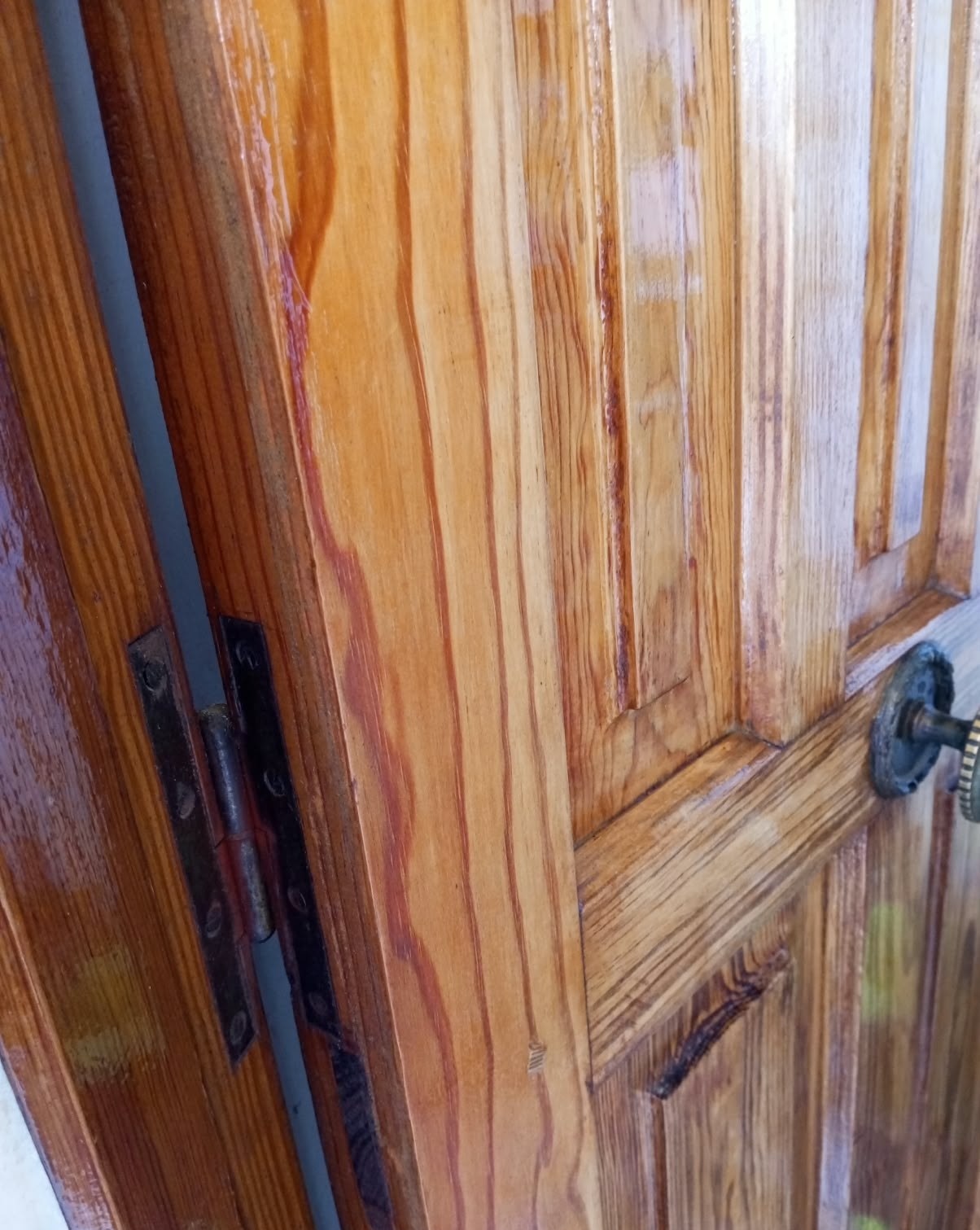 Detalle de puerta barnizada con bisagras y manilla
