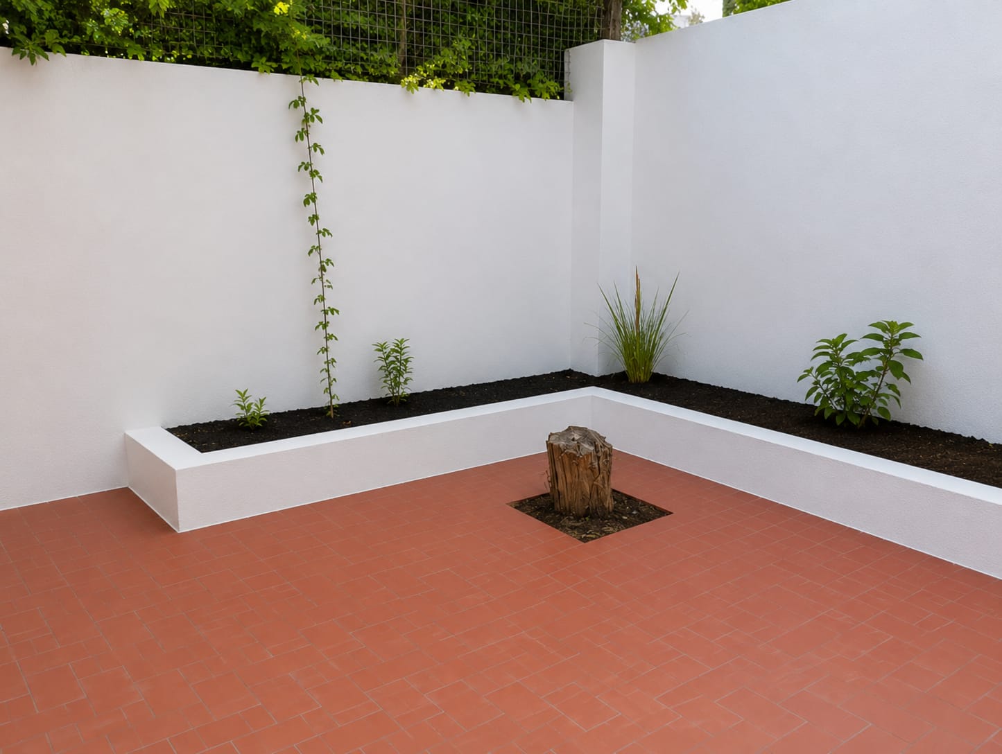 Patio con muros pintados en blanco, jardineras y suelo de terracota